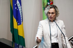 fotonoticia-110517_plenario_vss39