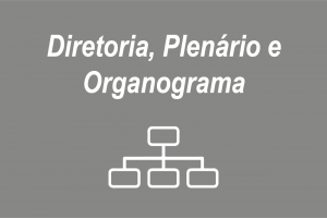 diretoria, plenario e organograma-01